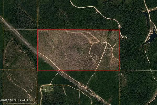 80 Acres Off Of Farmer Drive, Richton, MS 39476
