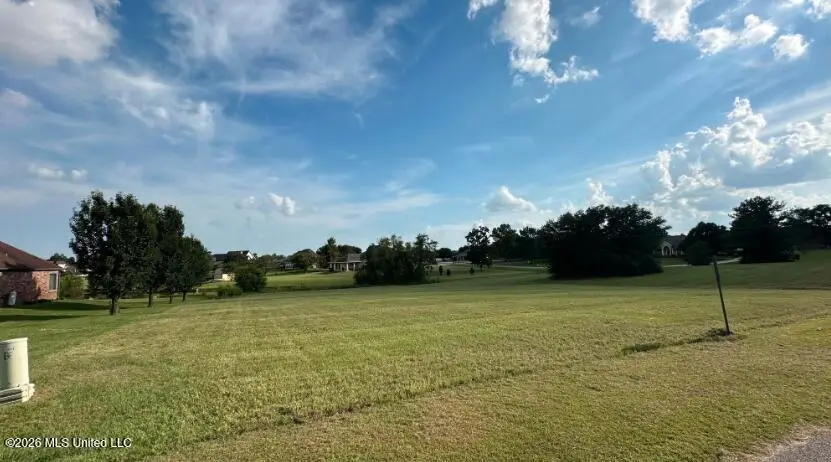 Nhn Shore Crest Circle, Carriere, MS 39426 - #2