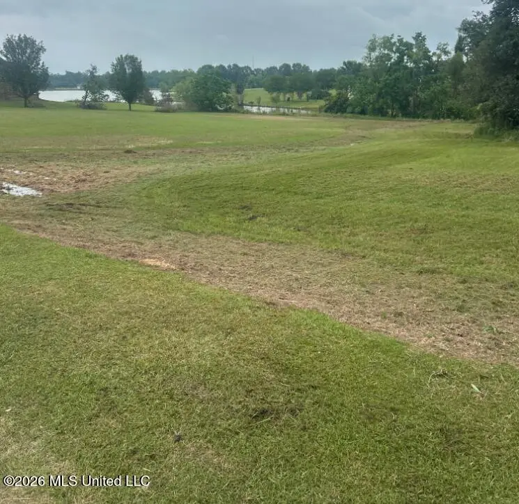 Nhn Shore Crest Circle, Carriere, MS 39426 - #3