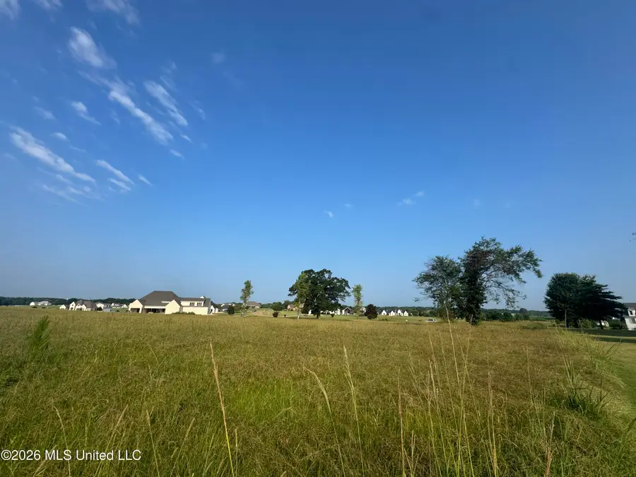 42 Andover Drive, Flora, MS 39071 - #3