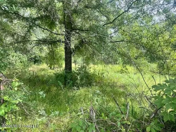 4034 W Topisaw, Ruth, MS 39662