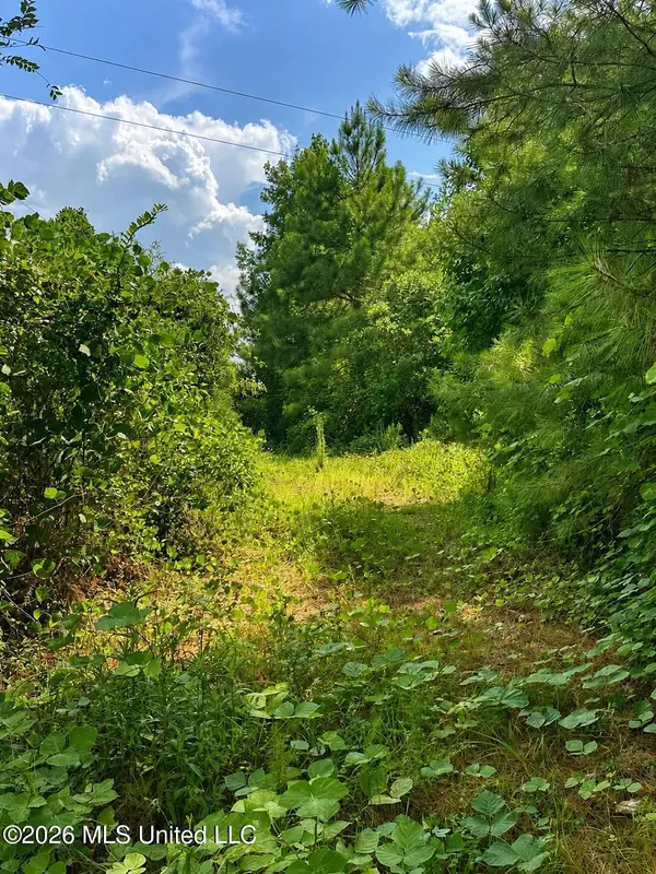 Scr 11a, Bay Springs, MS 39422