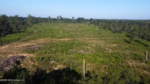Ebenezer Road, Columbia, MS 39429