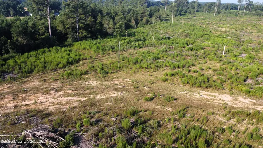 Ebenezer Road, Columbia, MS 39429 - #2