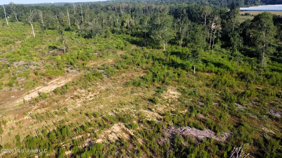 Ebenezer Road, Columbia, MS 39429 - #3