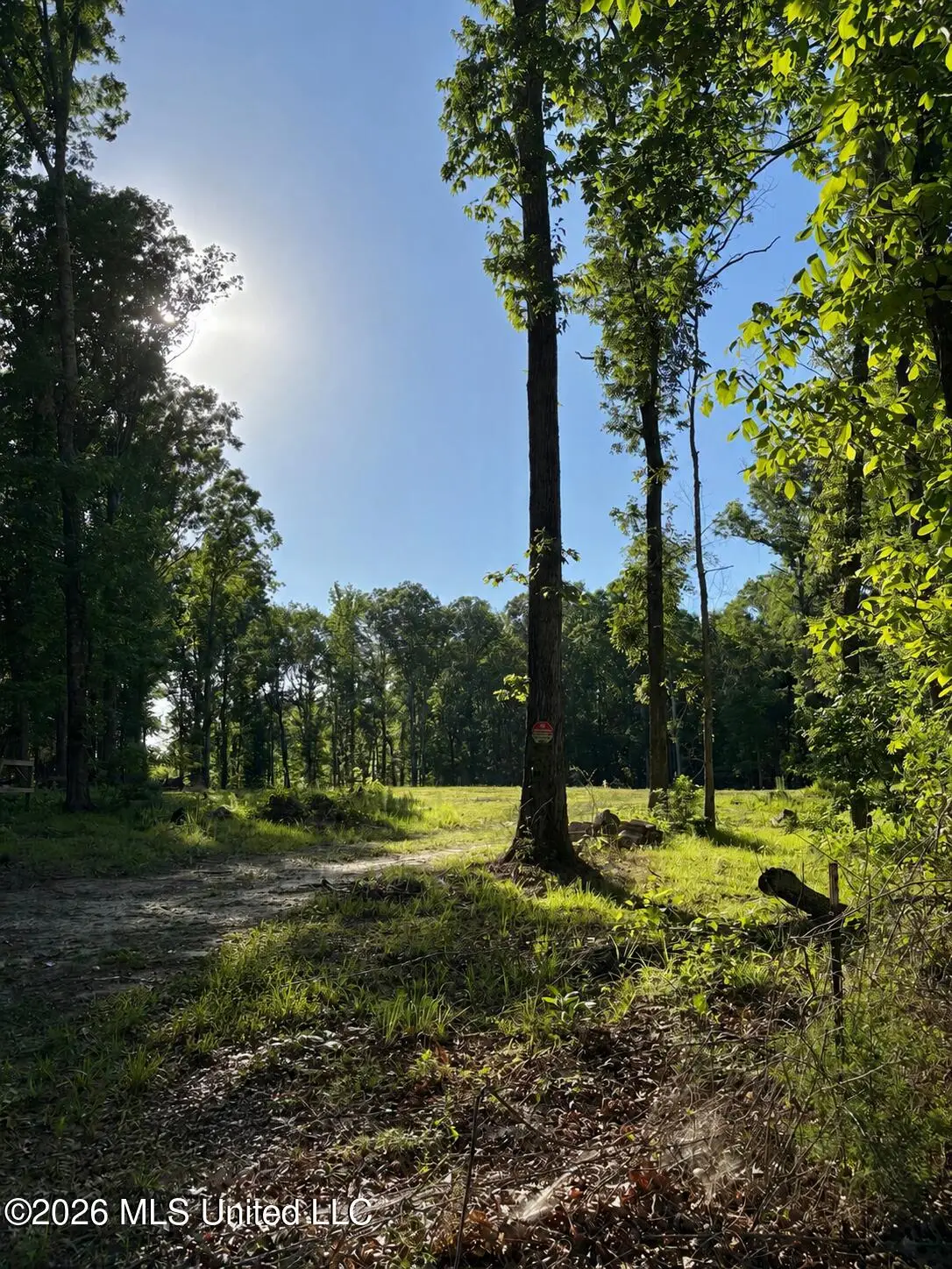 229 Barnes Road, Florence, MS 39073 - #1