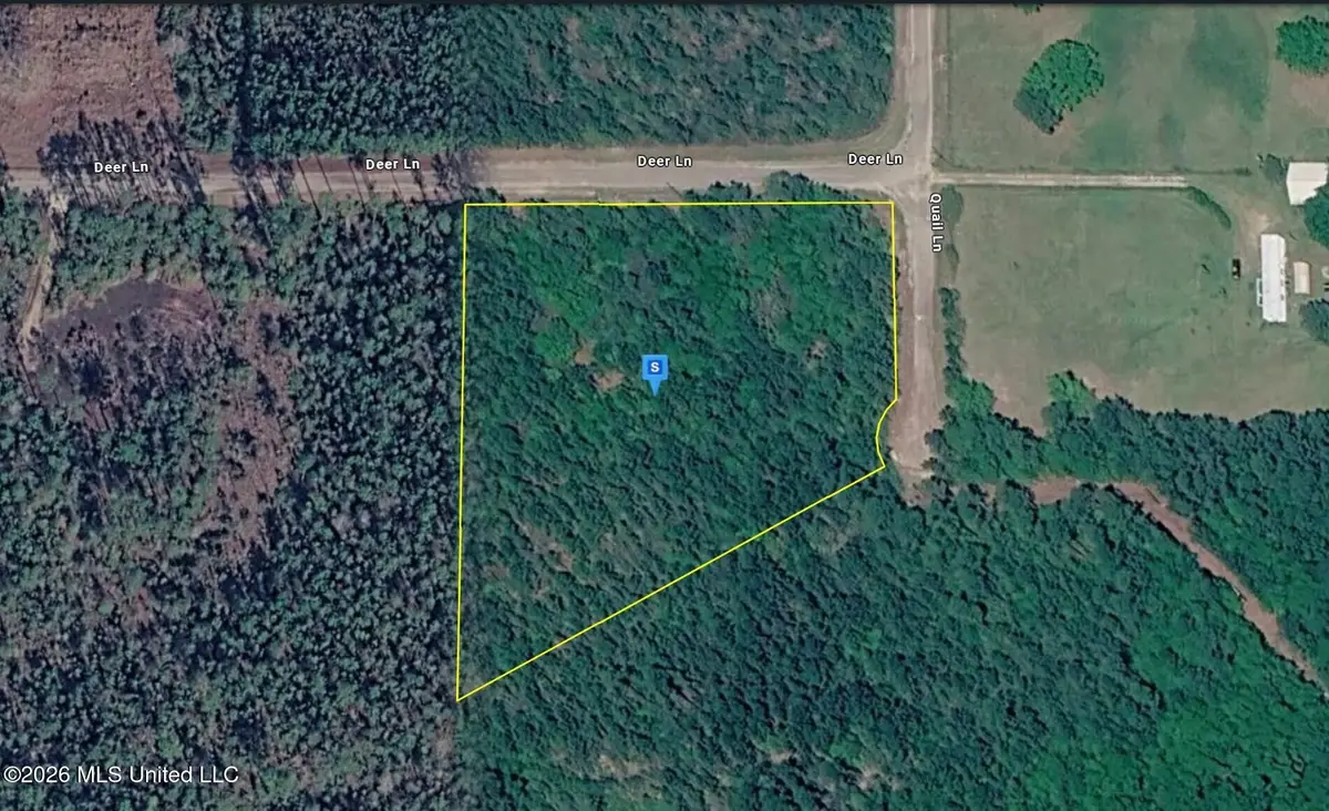 27025 Deer Lane, Perkinston, MS 39573 - #1