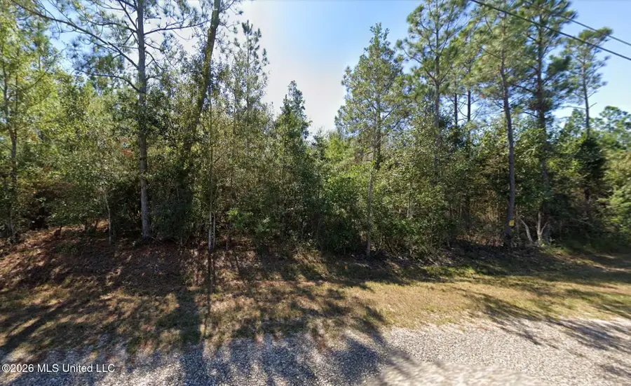27025 Deer Lane, Perkinston, MS 39573 - #2