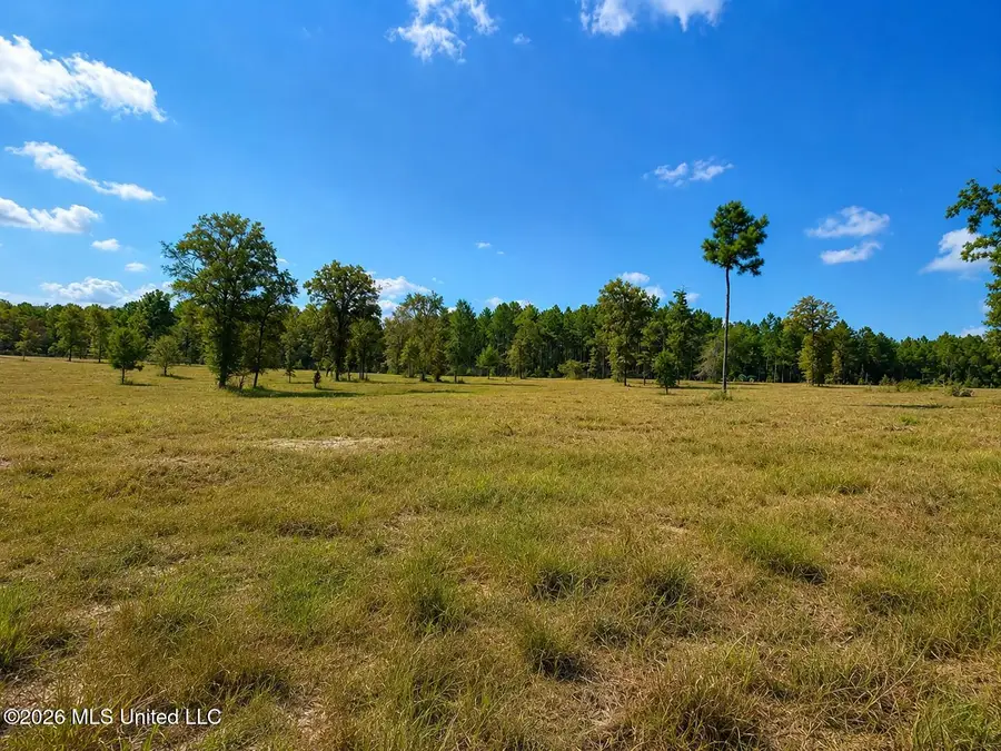 5.09 Ac +/- Industrial Park Road, Leakesville, MS 39451 - #2