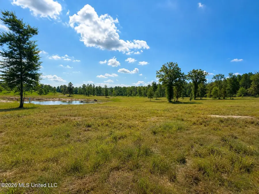 5.09 Ac +/- Industrial Park Road, Leakesville, MS 39451 - #3