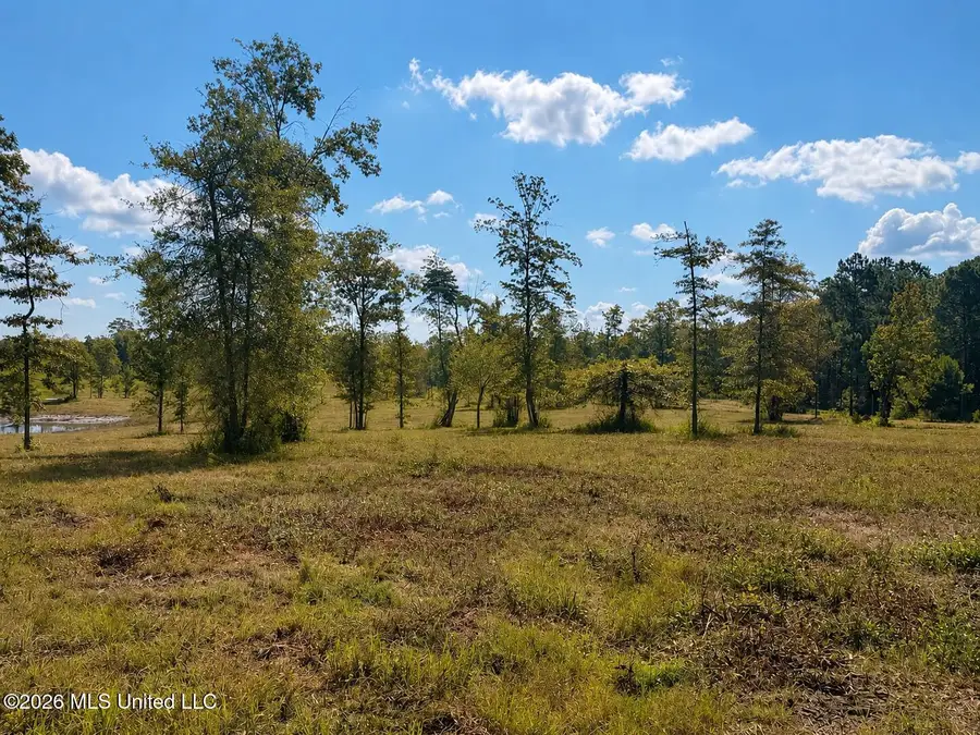 5.68 Ac +/- Industrial Park Road, Leakesville, MS 39451 - #3