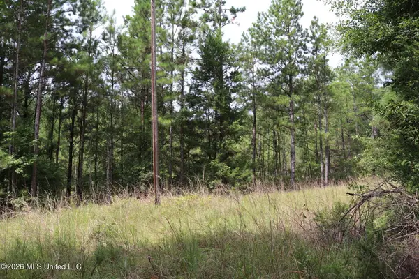 Sulphur Springs Road, Camden, MS 39045
