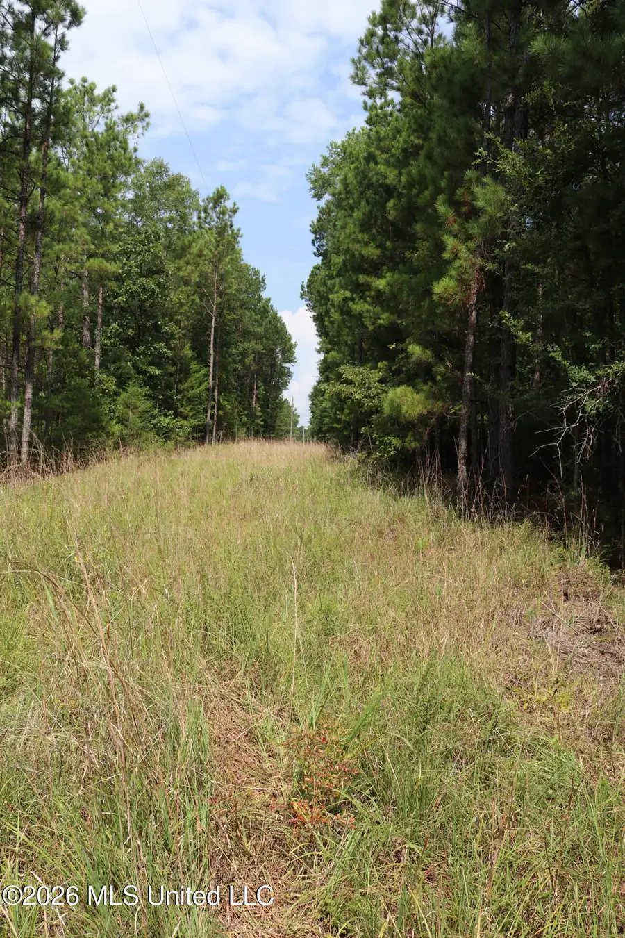 Sulphur Springs Road, Camden, MS 39045 - #2