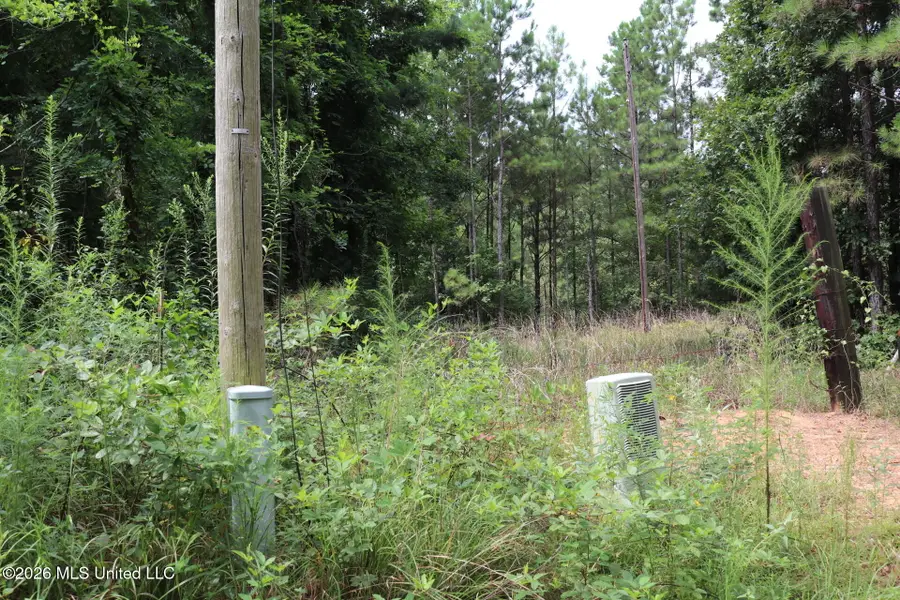 Sulphur Springs Road, Camden, MS 39045 - #3