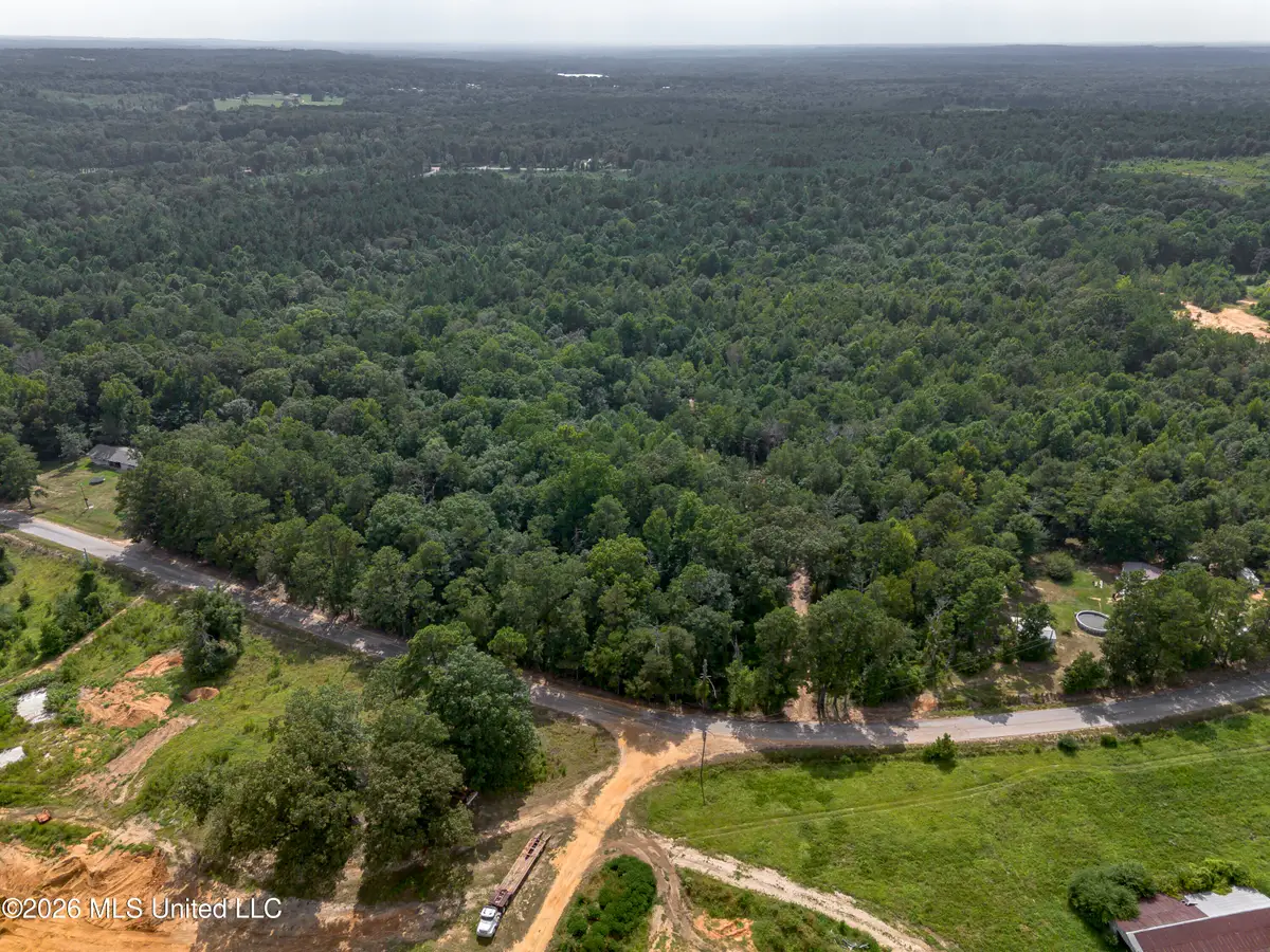 S Main Street, Mendenhall, MS 39114 - #1