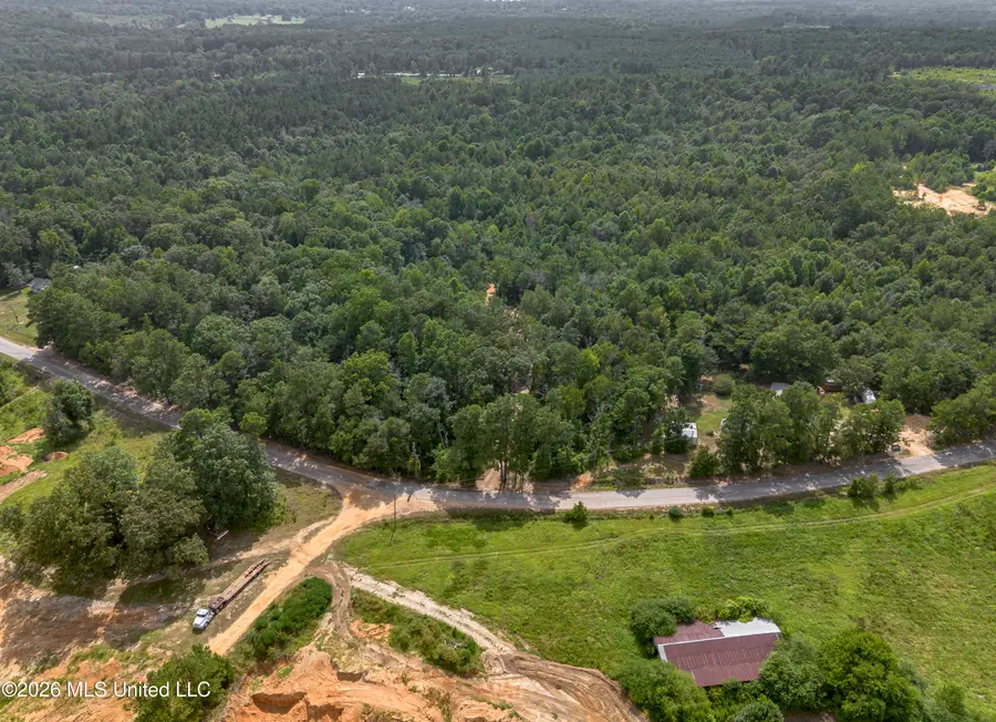 S Main Street, Mendenhall, MS 39114 - #2