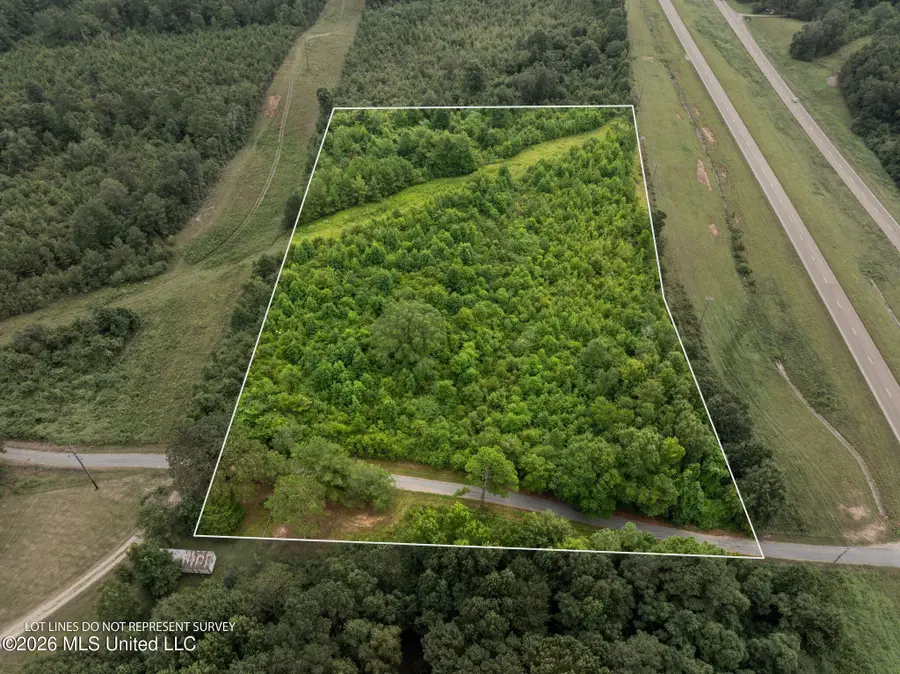 3 Hwy 84, Collins, MS 39428 - #2