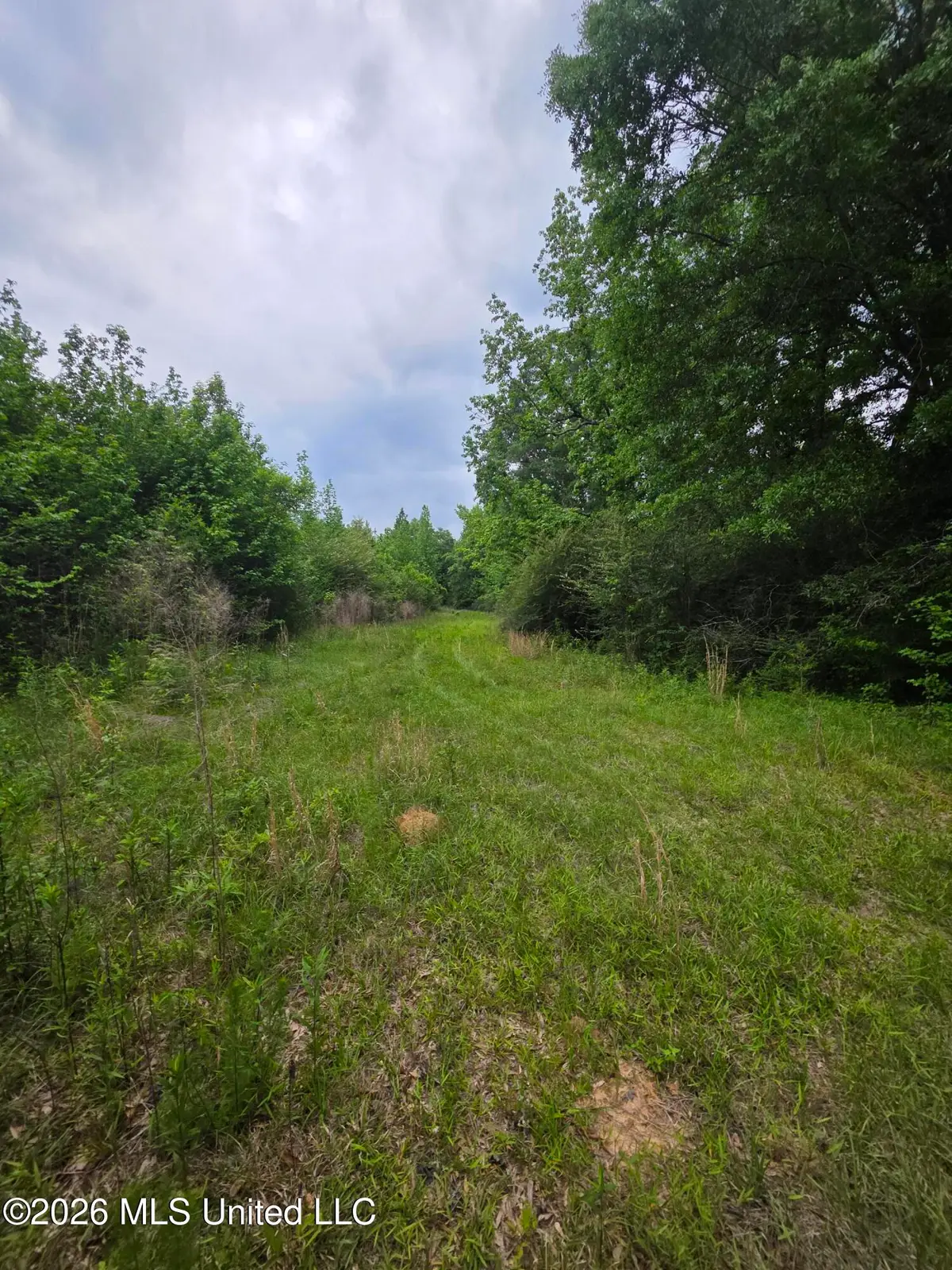1542 Wellman Drive, Brookhaven, MS 39601 - #1