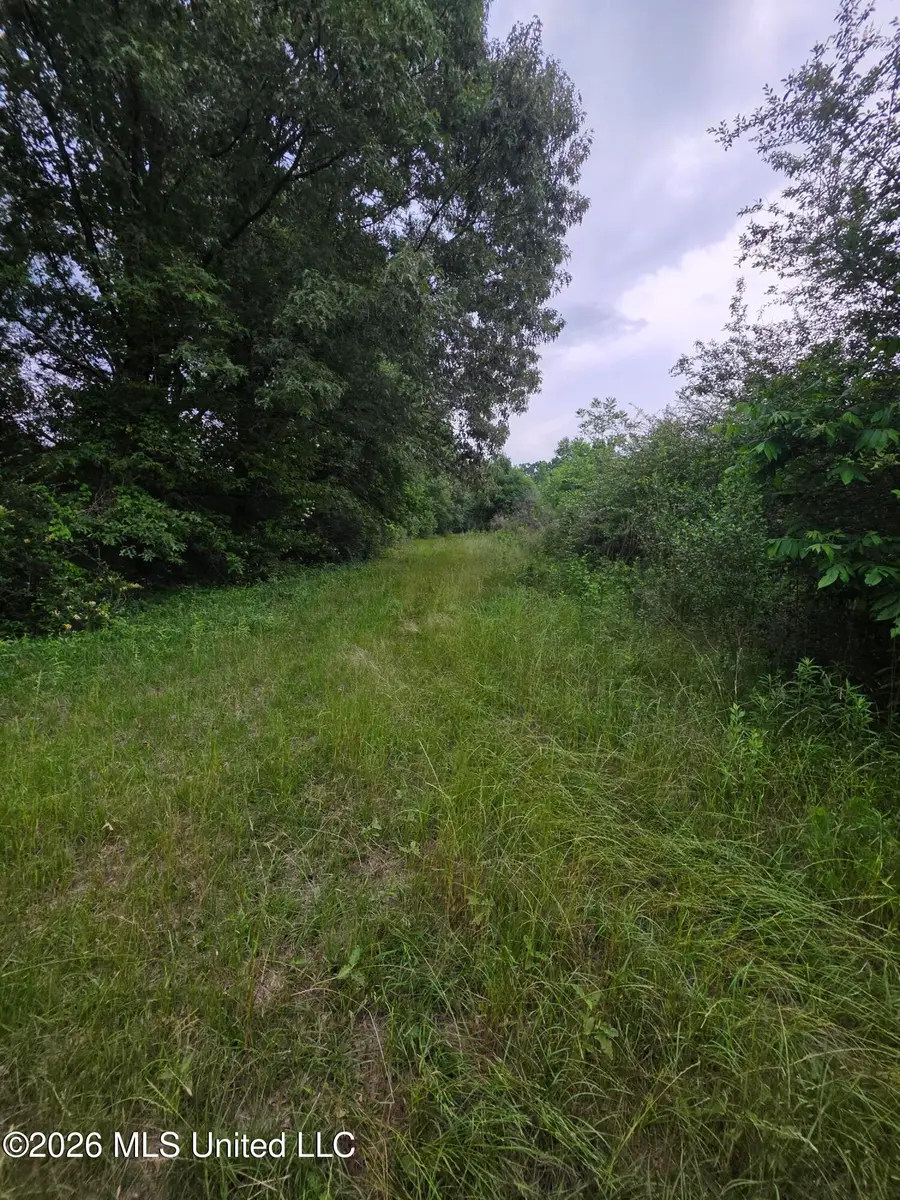 1542 Wellman Drive, Brookhaven, MS 39601 - #3