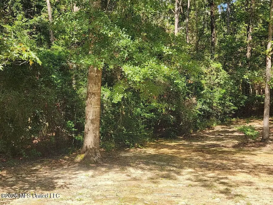 16509 Mcgregor Road, Vancleave, MS 39565 - #2