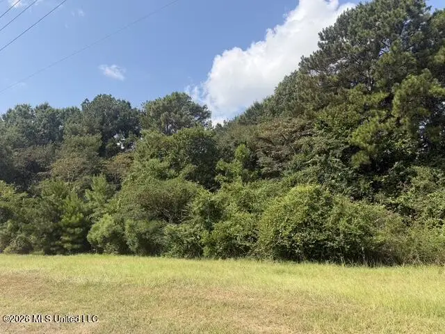 7.1 Acres U S Highway 49, Richland, MS 39218 - #2