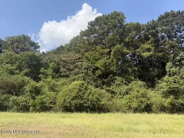 7.1 Acres U S Highway 49, Richland, MS 39218 - #3