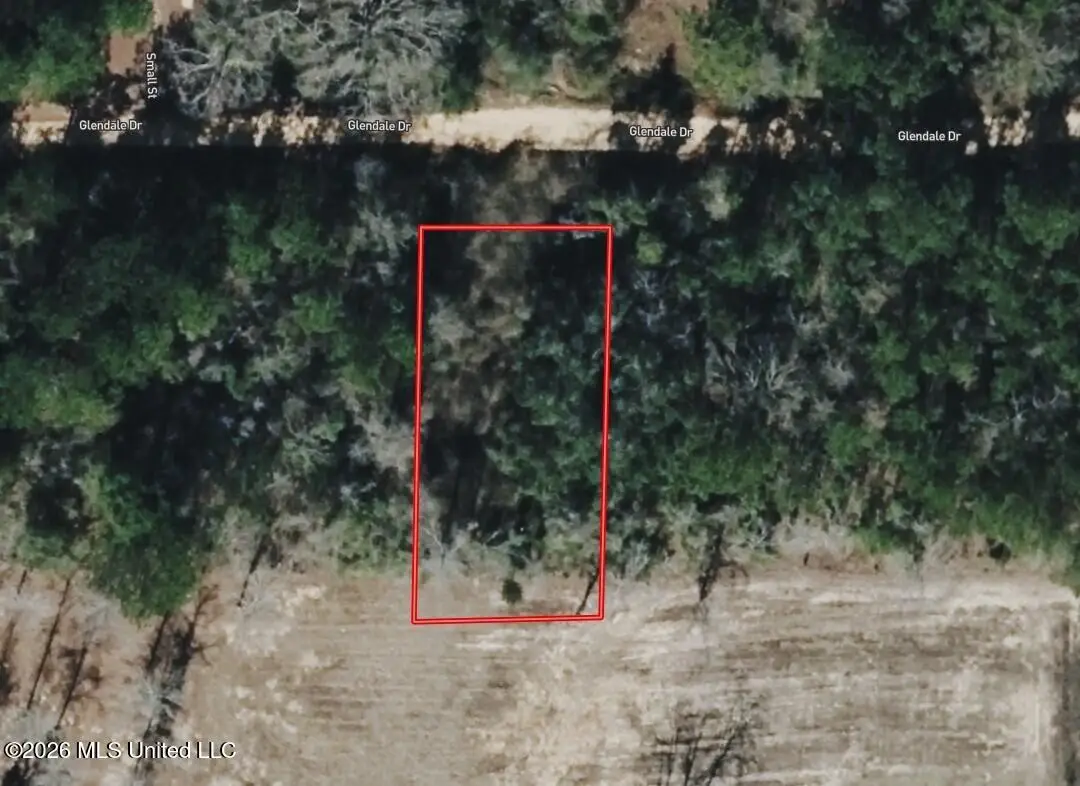 Glenndale Drive, Lumberton, MS 39455 - #1