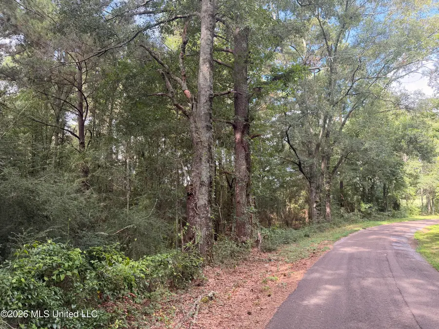 2295 Hunters Road Se Road, Brookhaven, MS 39601 - #3