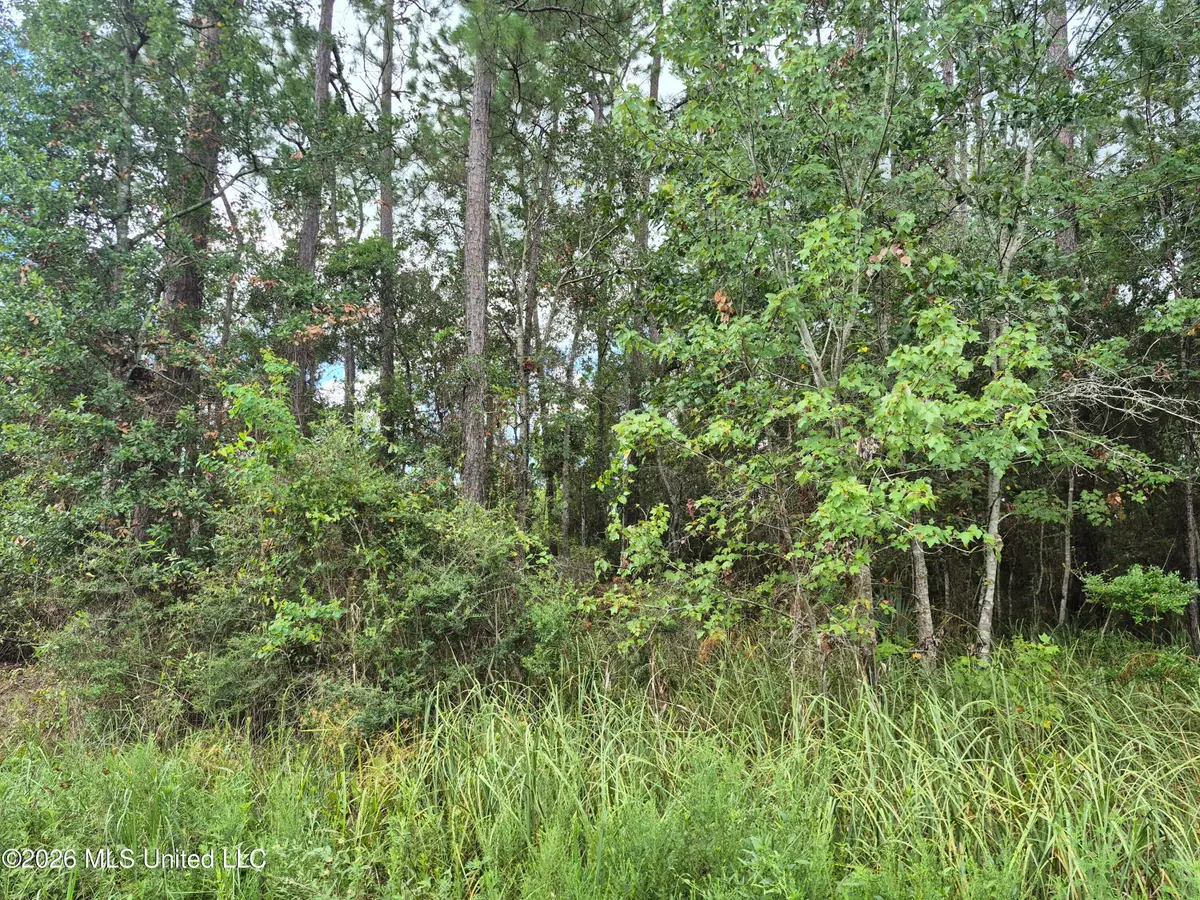 Pacific Street, Bay Saint Louis, MS 39520 - #1