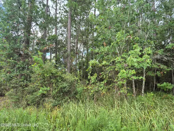 Onega Street, Bay Saint Louis, MS 39520