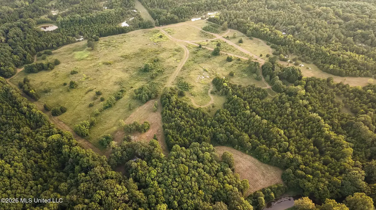 Rockhill Road, Starkville, MS 39759 - #1