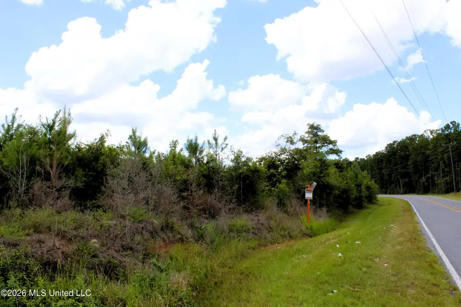 6.4 Acres Beaver Dam Road, Lucedale, MS 39452 - #2