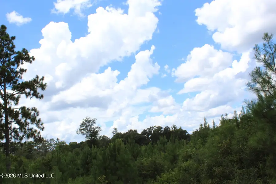 6.4 Acres Beaver Dam Road, Lucedale, MS 39452 - #3