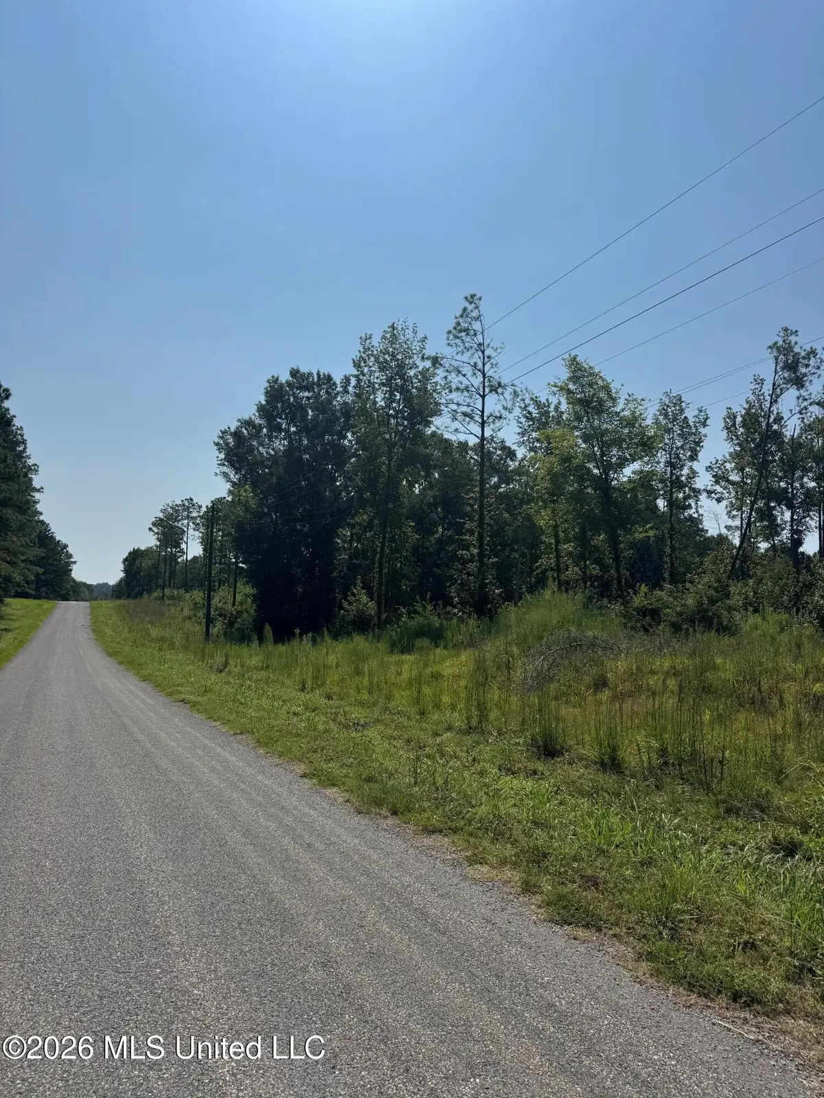 Lot 5 Mac Pate Road, West Point, MS 39773 - #1