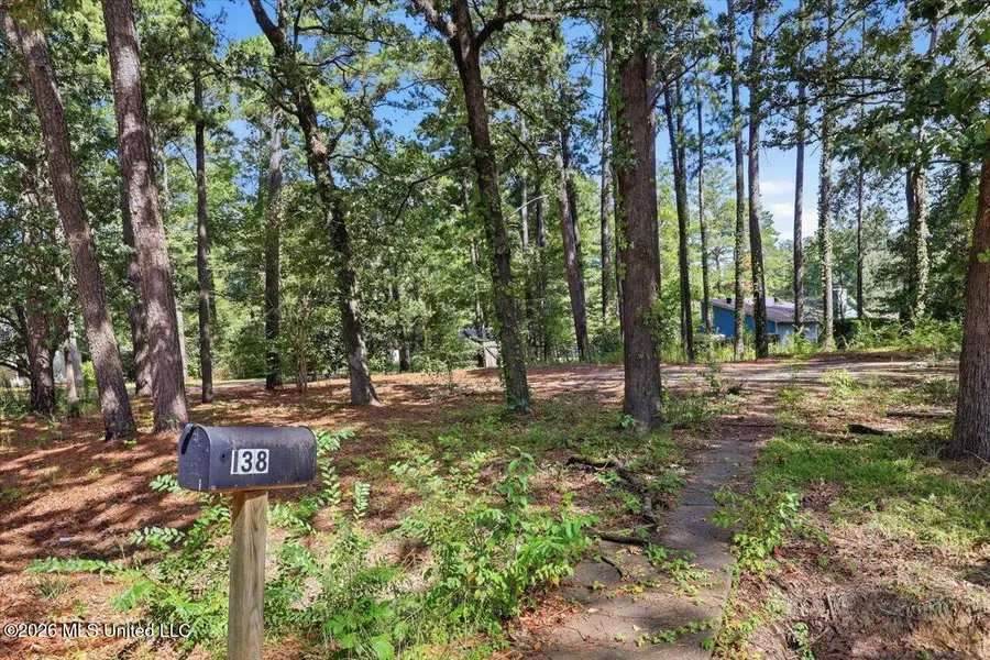 138 Dogwood Circle, Brandon, MS 39047 - #3