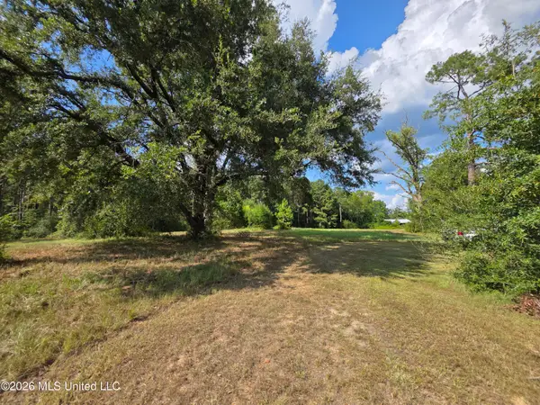 325 Double Ponds Road, Prentiss, MS 39474