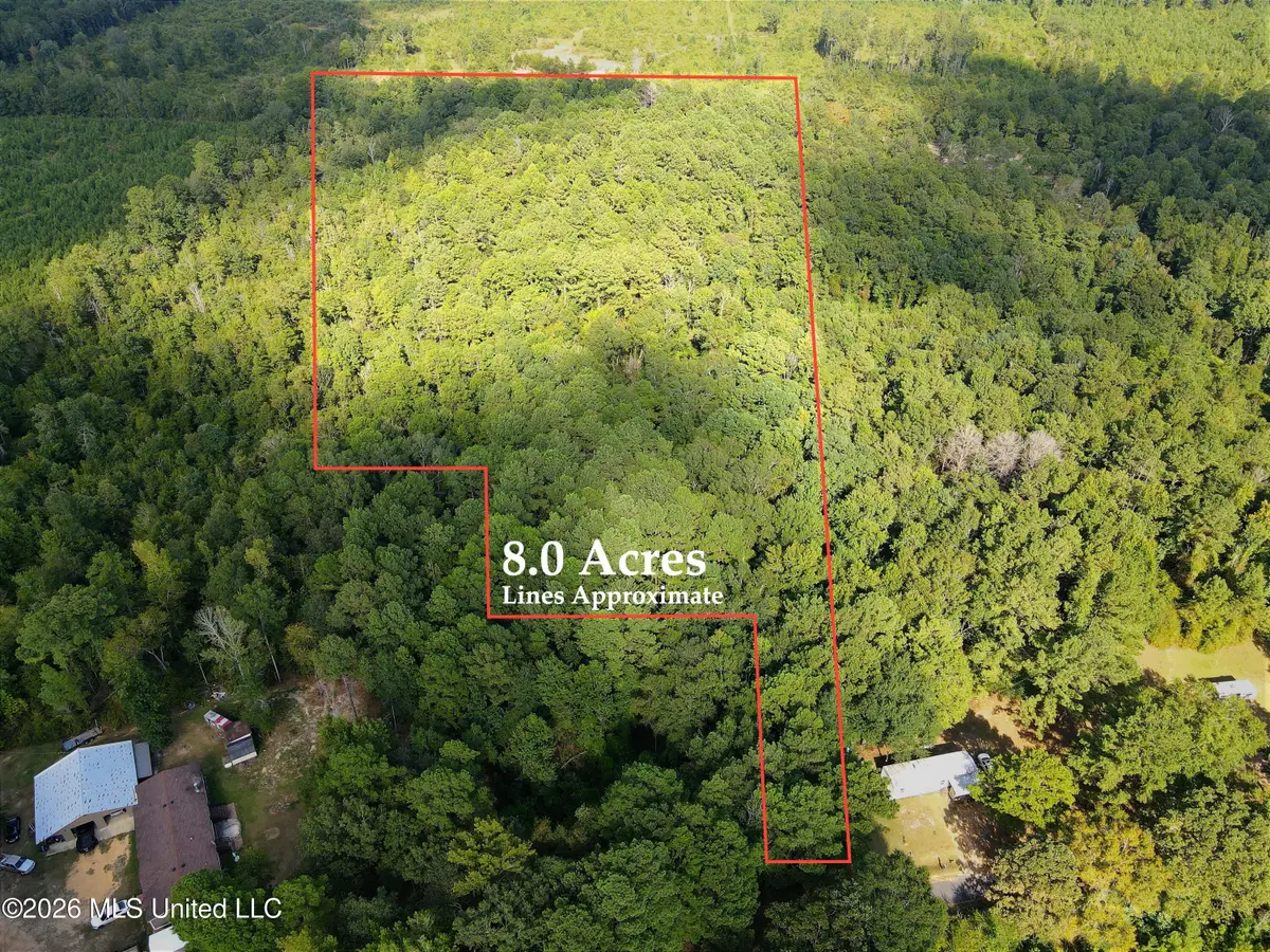 Blanchard Lane, Silver Creek, MS 39663 - #1