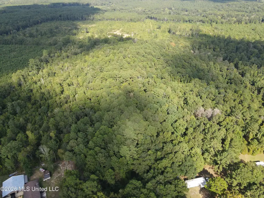 Blanchard Lane, Silver Creek, MS 39663 - #3