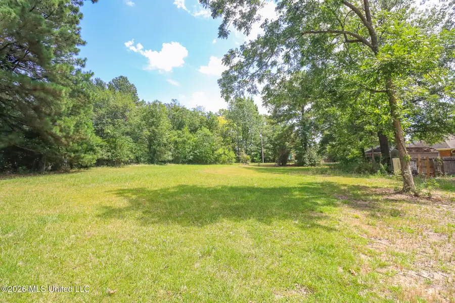 Woody Drive, Brandon, MS 39047 - #3