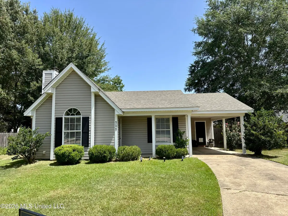 111 Barnett Bend Lane, Brandon, MS 39047 - #1