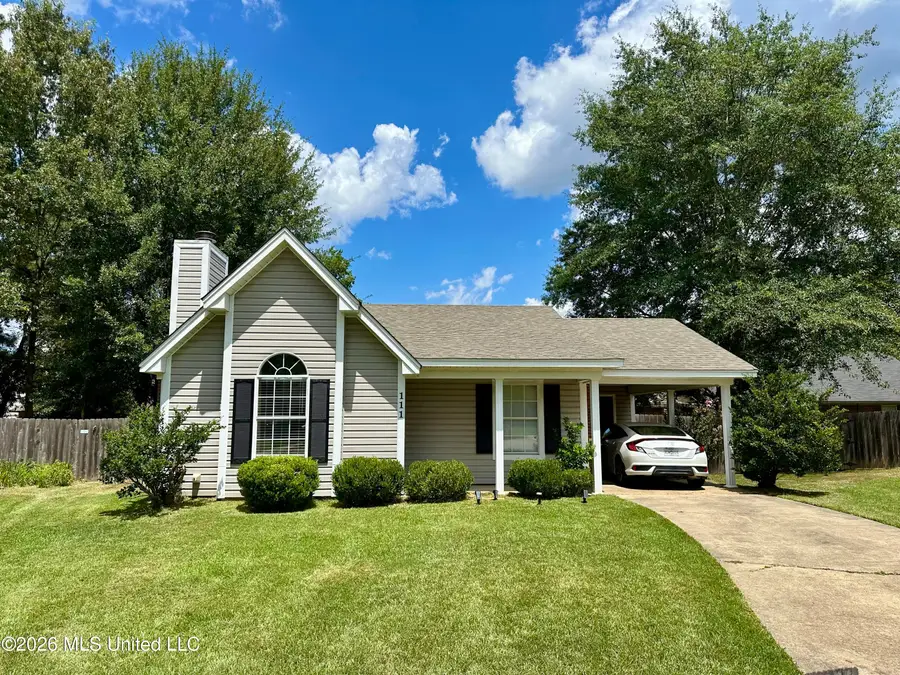 111 Barnett Bend Lane, Brandon, MS 39047 - #2