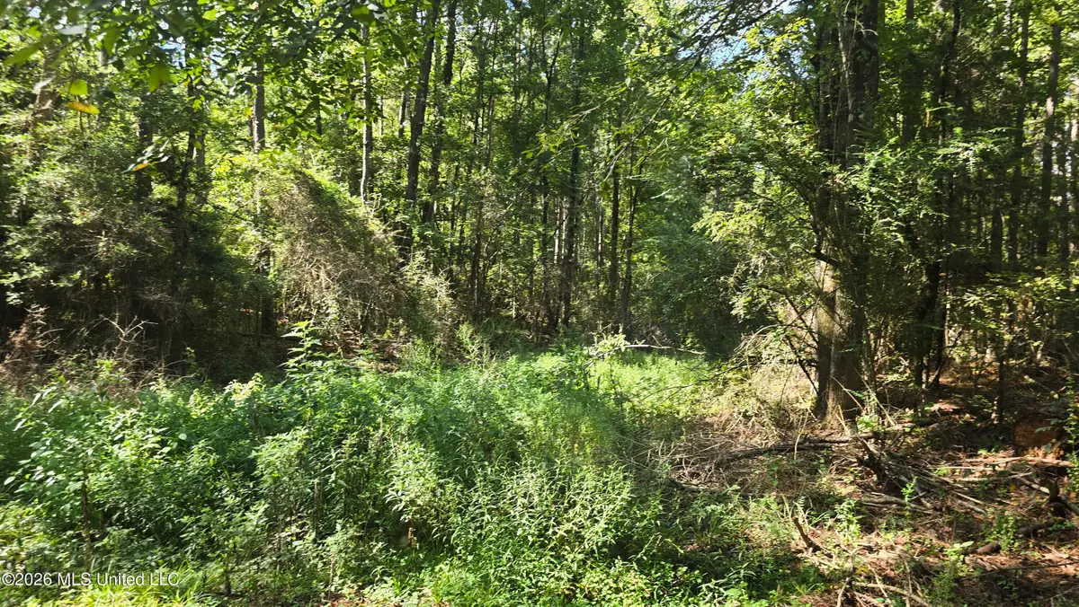 3190 NE Quentin Tower Road, McCall Creek, MS 39647 - #1