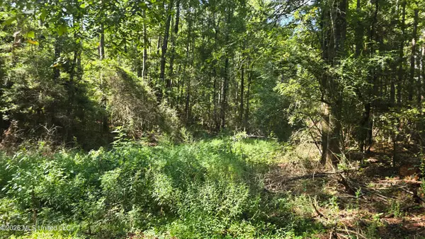 3190 NE Quentin Tower Road, McCall Creek, MS 39647