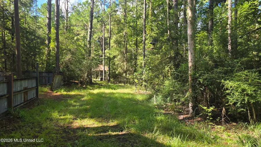 3190 NE Quentin Tower Road, McCall Creek, MS 39647 - #3