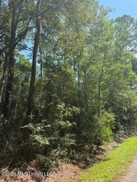 00 10th Avenue, Bay Saint Louis, MS 39520 - #2