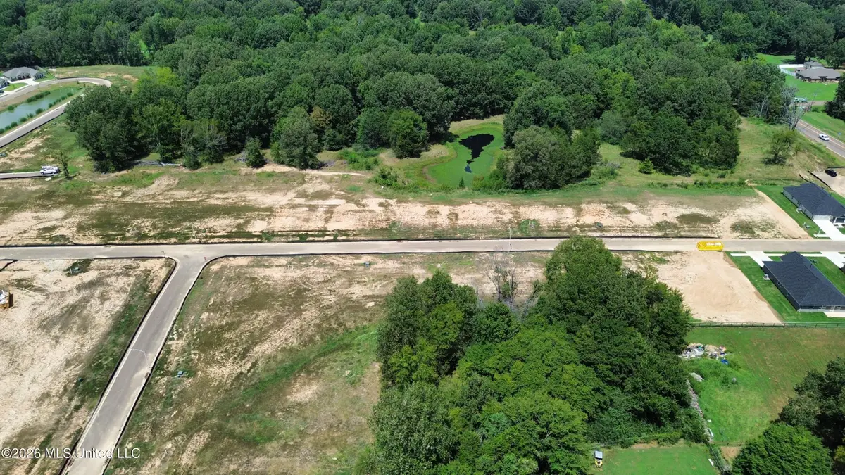 4225 Highway 305, Olive Branch, MS 38654 - #1