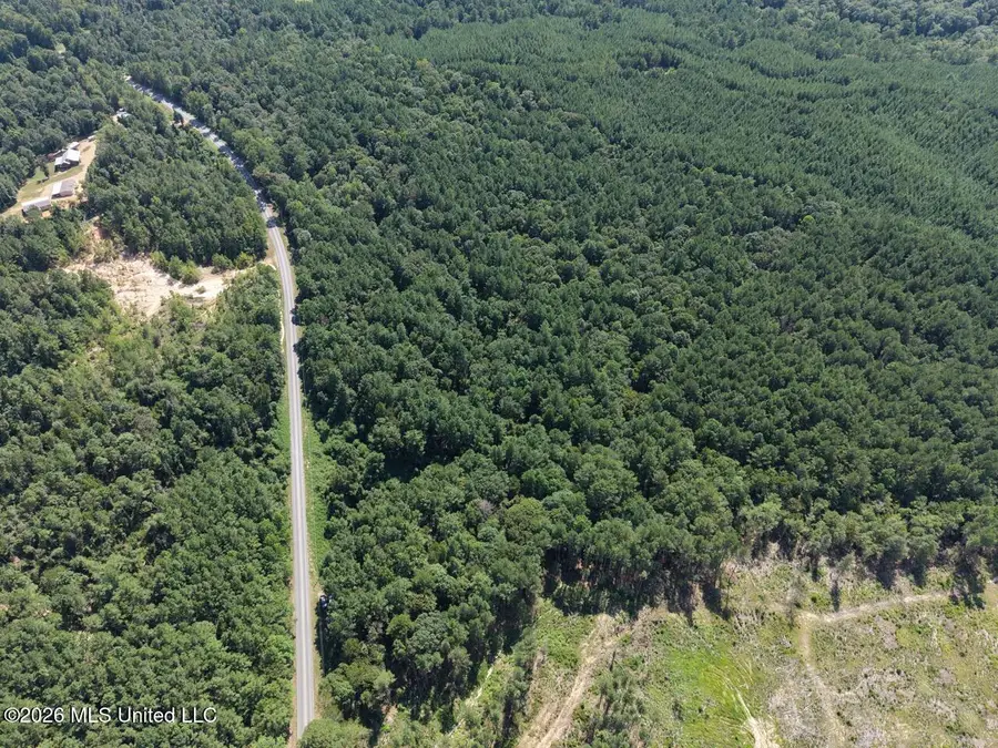 1669 Burt Jordan Road, Meadville, MS 39653 - #3