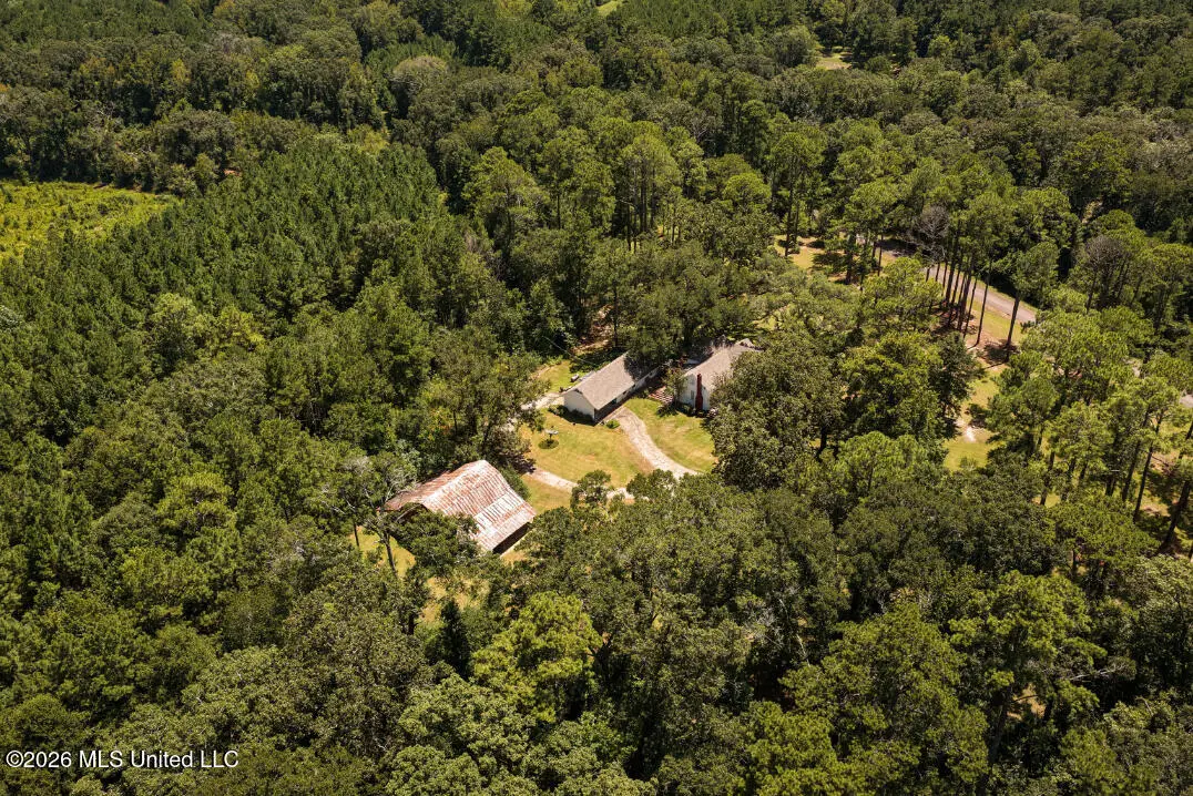 1140 Irene Road, Magnolia, MS 39652 - #1