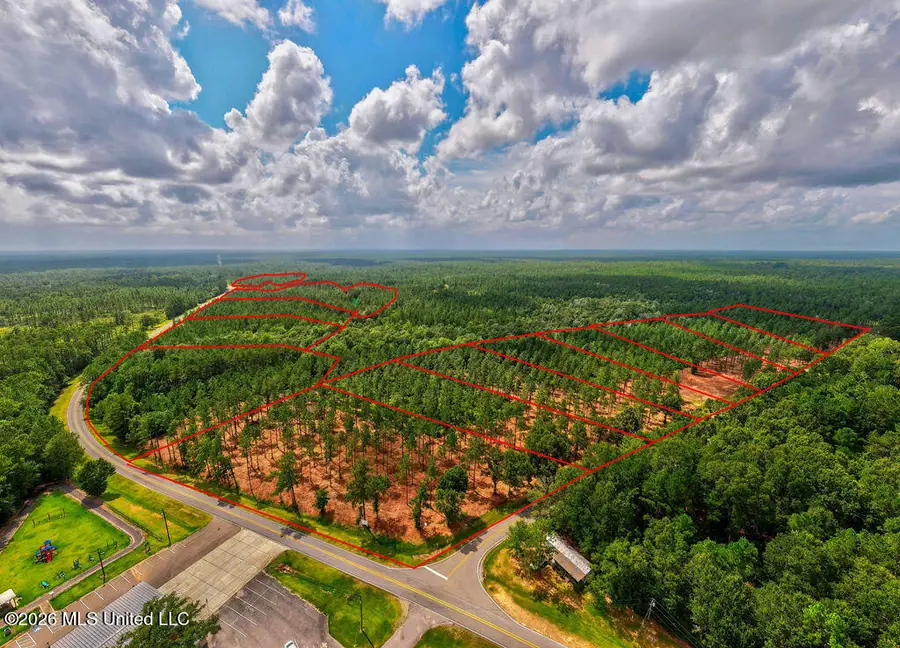 Nhn Lot 9 Bethel Road, Saucier, MS 39574 - #3