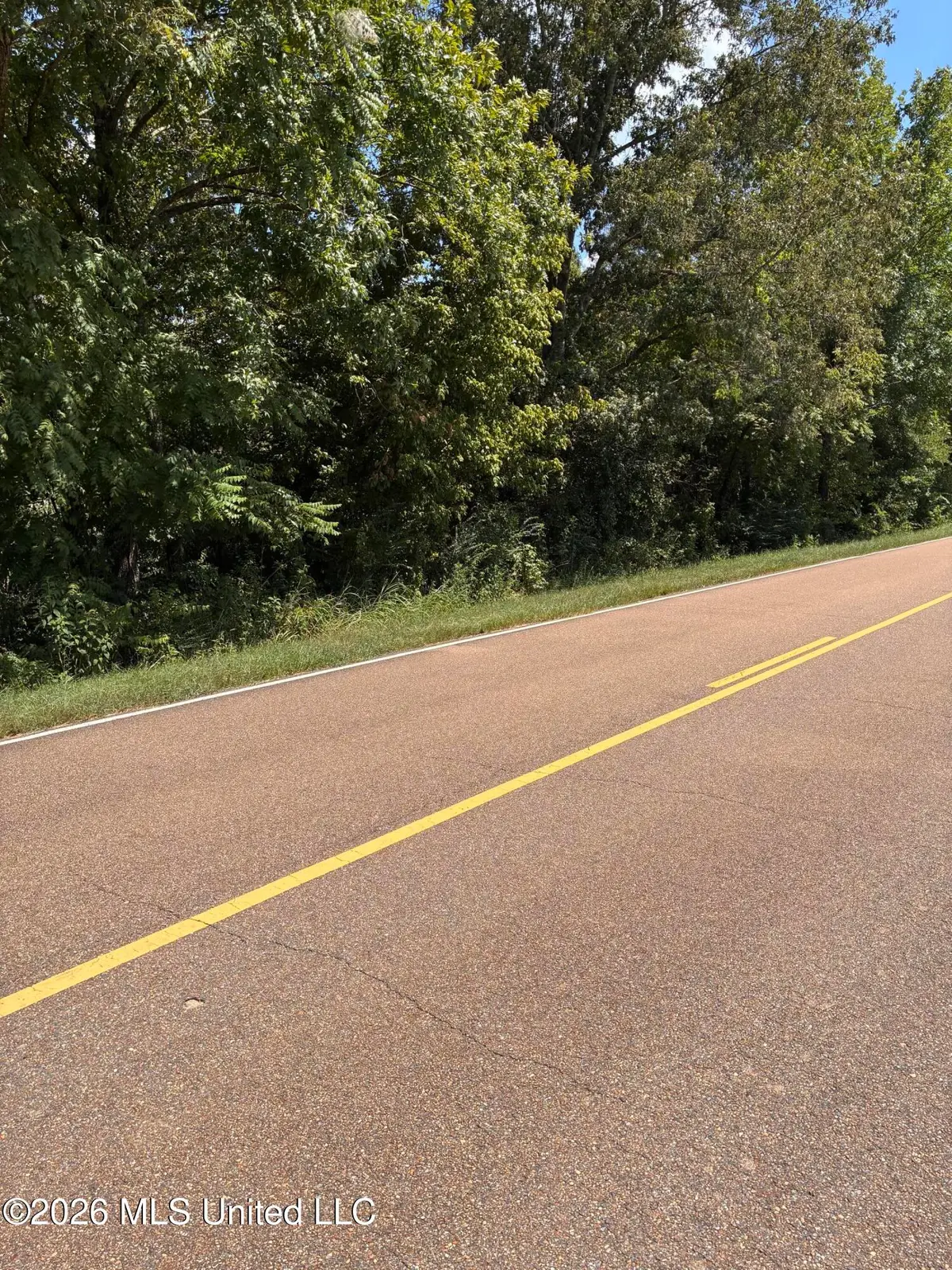 493 Gus Green Road, Flora, MS 39071 - #1